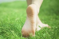 Heel Pain